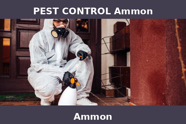 PEST CONTROL Ammon